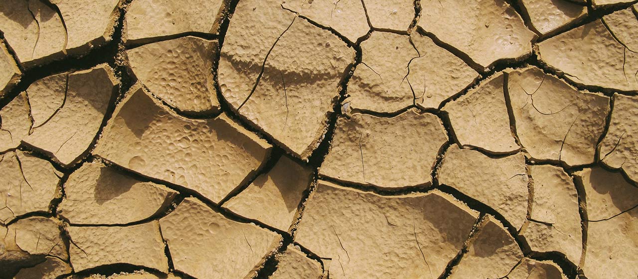 soil